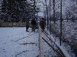 dsc04772.jpg